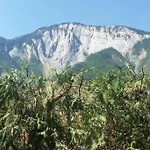 Les Iris * Le Bourg-dʼOisans