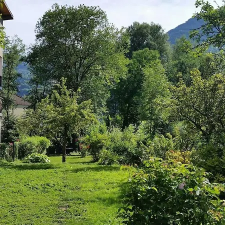 Les Iris Le Bourg-dʼOisans