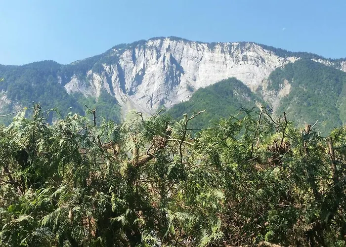 Les Iris * Le Bourg-dʼOisans
